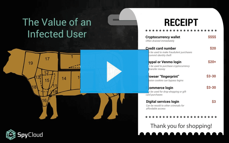 Webinar - Malware - Value of an Infected User