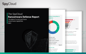 Ransomware Defense Report Preview