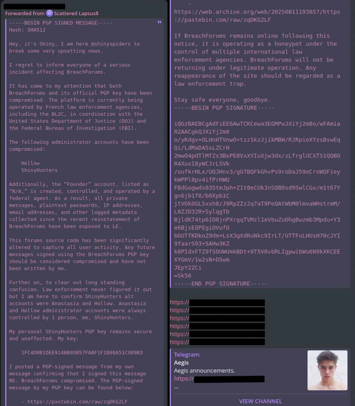 Announcement from the @shinyspiders account on Telegram