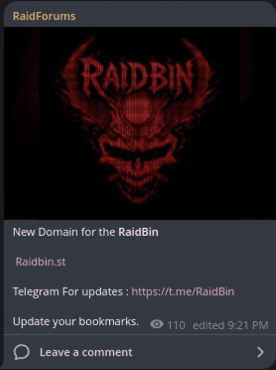 RaidBin logo with a sinister skull and spider design in red and black.